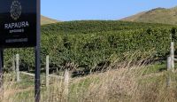 20260305_8 Weingebiet in Marlborough.jpg &ndash; &copy; Michael Rass (Eberhardt TRAVEL)