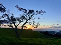 Sonnenuntergang in Auckland