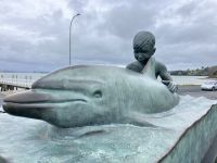 Delphin mit Bub