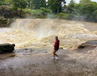 Der hufeisenförmigen Wasserfall bei Paihia