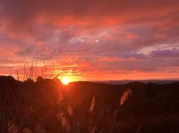 Tollster Sonnenuntergang im Lake Taupo National Park