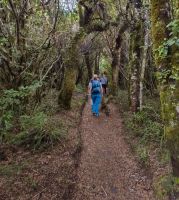 Waiouru Spaziergang