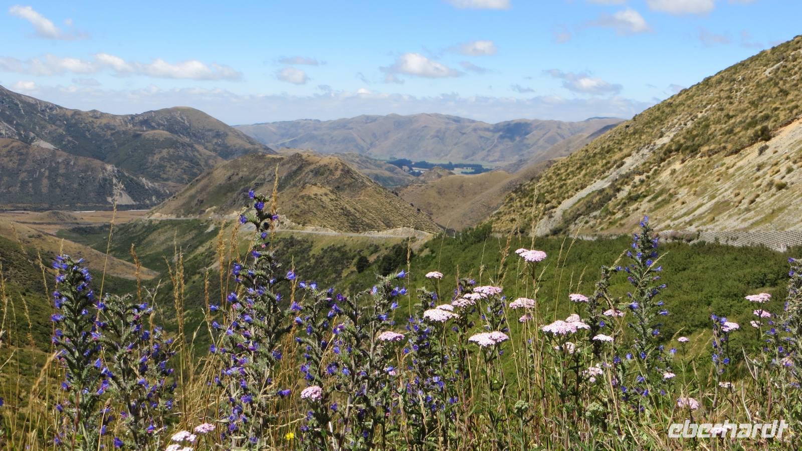 0899 Fahrt nach Christchurch - &ndash; &copy; Annette Weise (Eberhardt TRAVEL)