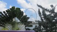 0074 Singapur - Singapur Flyer &ndash; &copy; Annette Weise (Eberhardt TRAVEL)