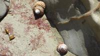 0257 Moeraki Boulders &ndash; &copy; Annette Weise (Eberhardt TRAVEL)