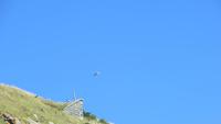 0313 Otago-Halbinsel - Bootsfahrt - Albatros &ndash; &copy; Annette Weise (Eberhardt TRAVEL)