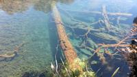 0371 Fahrt zum Milford-Sound - Lake Mirrow -  an den Spiegelseen &ndash; &copy; Annette Weise (Eberhardt TRAVEL)