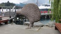 0550 Queenstown - Kiwi &ndash; &copy; Annette Weise (Eberhardt TRAVEL)
