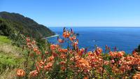 0683 Westküste - Tasmansee - &ndash; &copy; Annette Weise (Eberhardt TRAVEL)
