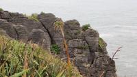 0829 Punakaiki - Pfannkchenfelsen - &ndash; &copy; Annette Weise (Eberhardt TRAVEL)