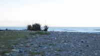 0857 Punakaiki - Strand &ndash; &copy; Annette Weise (Eberhardt TRAVEL)