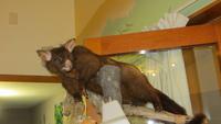 0883 Fahrt durch den Arthurs-Nationalpark - Nationalparkzentrum Opossum &ndash; &copy; Annette Weise (Eberhardt TRAVEL)