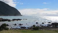 0953 Fahrt mit dem TranzCoastal von Kaikoura nach Picton &ndash; &copy; Annette Weise (Eberhardt TRAVEL)