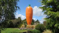 1041  Ohakune - die Karotte ist das Wahrzeichen des Ortes &ndash; &copy; Annette Weise (Eberhardt TRAVEL)