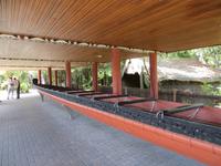 1137 Rotorua - Te Puia - Kanu &ndash; &copy; Annette Weise (Eberhardt TRAVEL)