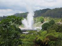 1141 Rotorua - Te Puia - Geysire &ndash; &copy; Annette Weise (Eberhardt TRAVEL)