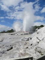 1159 Rotorua - Te Puia - Geysire - &ndash; &copy; Annette Weise (Eberhardt TRAVEL)