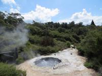 1169 Rotorua - Te Puia - Kochwassersee &ndash; &copy; Annette Weise (Eberhardt TRAVEL)