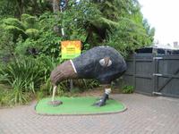 1186 Rotorua - Kiwi-Aufzucht-Station &ndash; &copy; Annette Weise (Eberhardt TRAVEL)