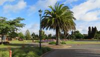 1271 Rotorua &ndash; &copy; Annette Weise (Eberhardt TRAVEL)