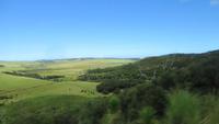 1388 Ausflug zum Cap Reinga - &ndash; &copy; Annette Weise (Eberhardt TRAVEL)
