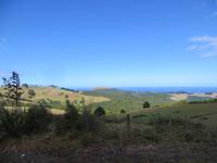 1514 Fahrt nach Auckland -  &ndash; &copy; Annette Weise (Eberhardt TRAVEL)