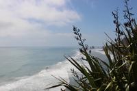 Tasmanische See &ndash; &copy; Marianne Schulze (Eberhardt TRAVEL)