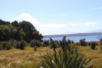 Lake Mahinapua 