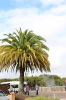 Rotorua &ndash; &copy; Marianne Schulze (Eberhardt TRAVEL)