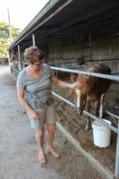 Farmaufenthalt in  Matamata  &ndash; &copy; Marianne Schulze (Eberhardt TRAVEL)