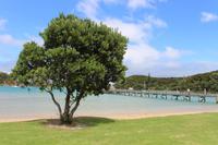 Insel Urupukapuka 