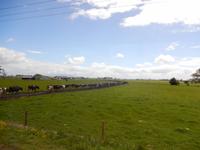 Rundeise Neuseeland - Nordinsel &ndash; &copy; Benjamin Rodriguez Manzanares (Eberhardt TRAVEL)