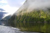 Fahrtimpressionen vom Milford Sound &ndash; &copy; Katrin Deutschbein (Eberhardt TRAVEL)
