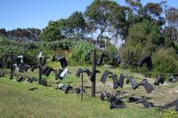 Gumdiggers Park &ndash; &copy; Katrin Deutschbein (Eberhardt TRAVEL)