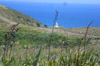 Cape Reinga &ndash; &copy; Katrin Deutschbein (Eberhardt TRAVEL)