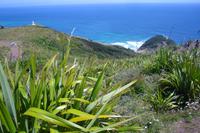 Cape Reinga &ndash; &copy; Katrin Deutschbein (Eberhardt TRAVEL)