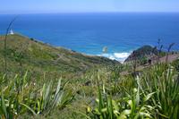 Cape Reinga &ndash; &copy; Katrin Deutschbein (Eberhardt TRAVEL)
