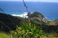 Cape Reinga &ndash; &copy; Katrin Deutschbein (Eberhardt TRAVEL)