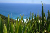 Cape Reinga &ndash; &copy; Katrin Deutschbein (Eberhardt TRAVEL)