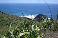 Cape Reinga &ndash; &copy; Katrin Deutschbein (Eberhardt TRAVEL)
