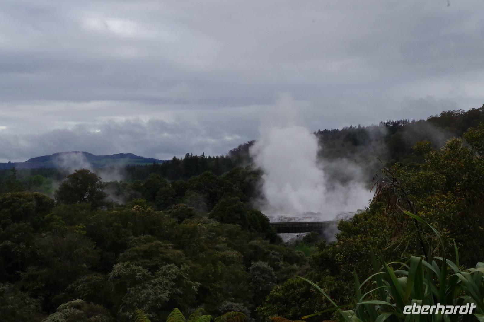 Te Puia &ndash; &copy; Cindy Streidt (Eberhardt TRAVEL)