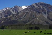 Arthurs Pass &ndash; &copy; Cindy Streidt (Eberhardt TRAVEL)