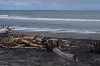 Strand von Hokitika &ndash; &copy; Cindy Streidt (Eberhardt TRAVEL)