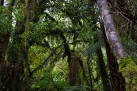 c &ndash; &copy; Cindy Streidt (Eberhardt TRAVEL)