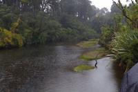 Spaziergang - Ship Creek &ndash; &copy; Cindy Streidt (Eberhardt TRAVEL)