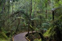 Spaziergang - Ship Creek &ndash; &copy; Cindy Streidt (Eberhardt TRAVEL)