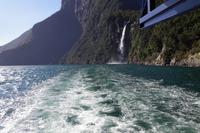 Milford Sound &ndash; &copy; Cindy Streidt (Eberhardt TRAVEL)
