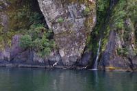 Milford Sound &ndash; &copy; Cindy Streidt (Eberhardt TRAVEL)