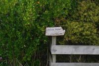 Spaziergang auf der Pinguinfarm &ndash; &copy; Cindy Streidt (Eberhardt TRAVEL)
