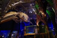 Im Te Papa Museum &ndash; &copy; Cindy Streidt (Eberhardt TRAVEL)